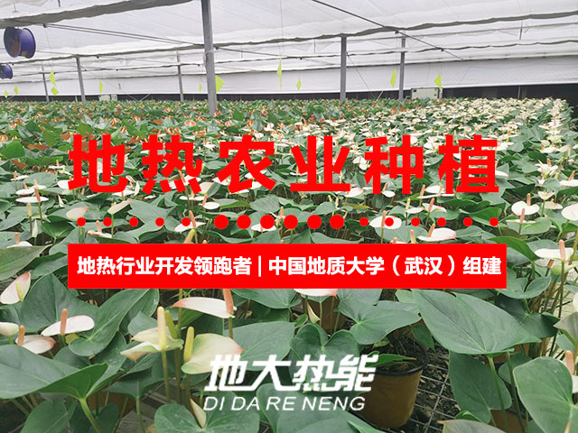 濟(jì)南：“地?zé)崮?農(nóng)業(yè)”產(chǎn)業(yè)融合，讓地?zé)崮苷嬲盁帷逼饋?地大熱能